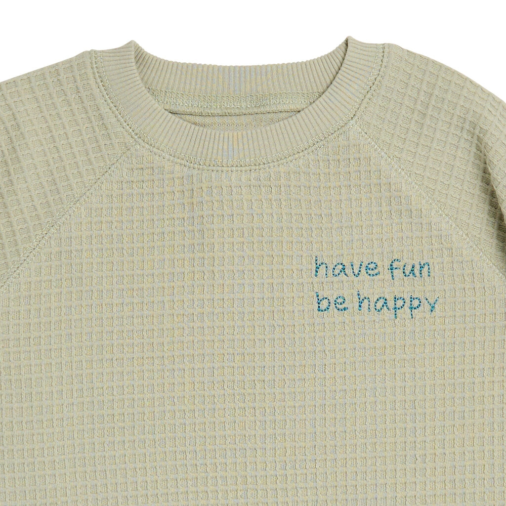 2-Piece Infant & Toddler Boys Light Green Long Sleeve Top and Shorts Set
