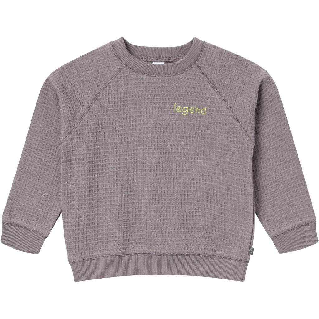2-Piece Infant & Toddler Boys Grey Long Sleeve Top and Shorts Set