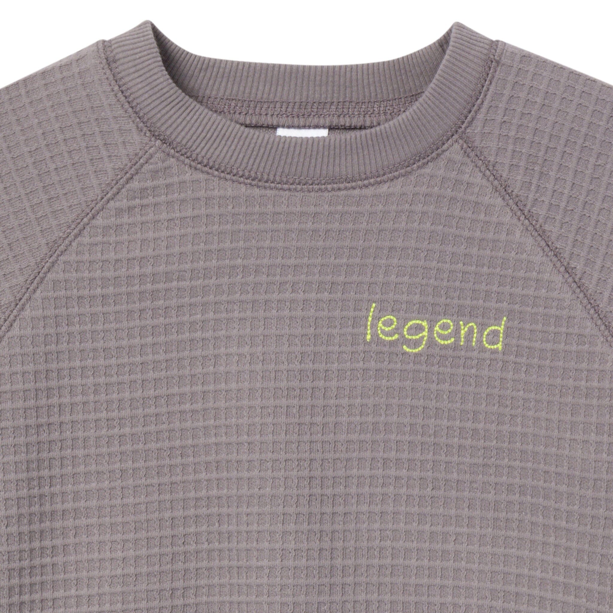 2-Piece Infant & Toddler Boys Grey Long Sleeve Top and Shorts Set