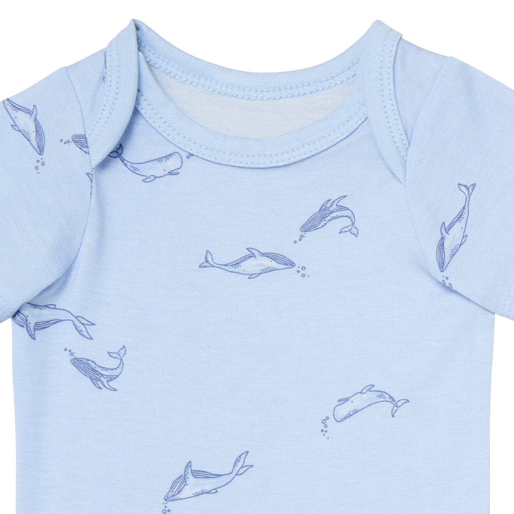 4-Piece Baby Boys Light Blue Whale Viscose Bodysuits and Pants Set